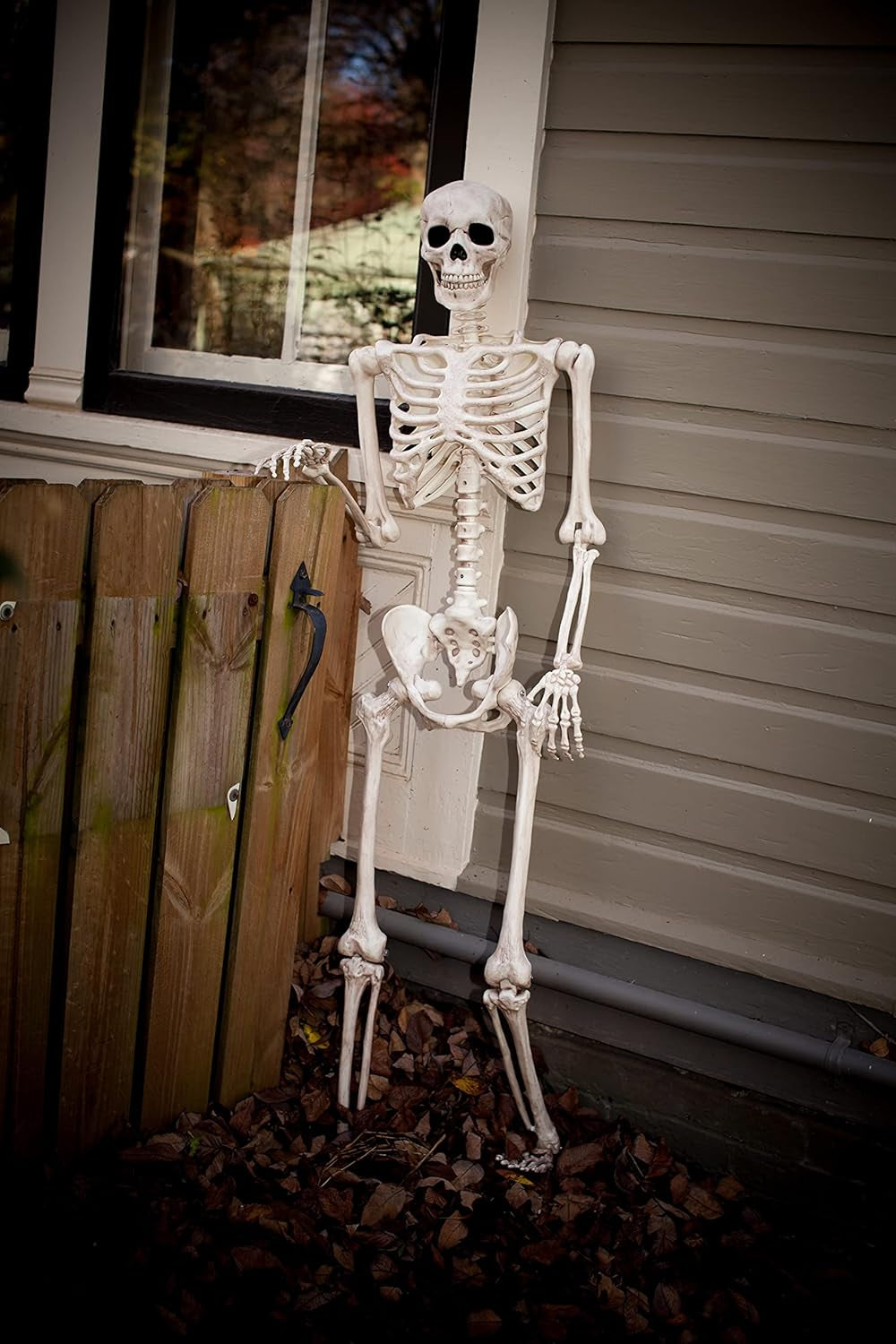 Pose-N-Stay Skeleton