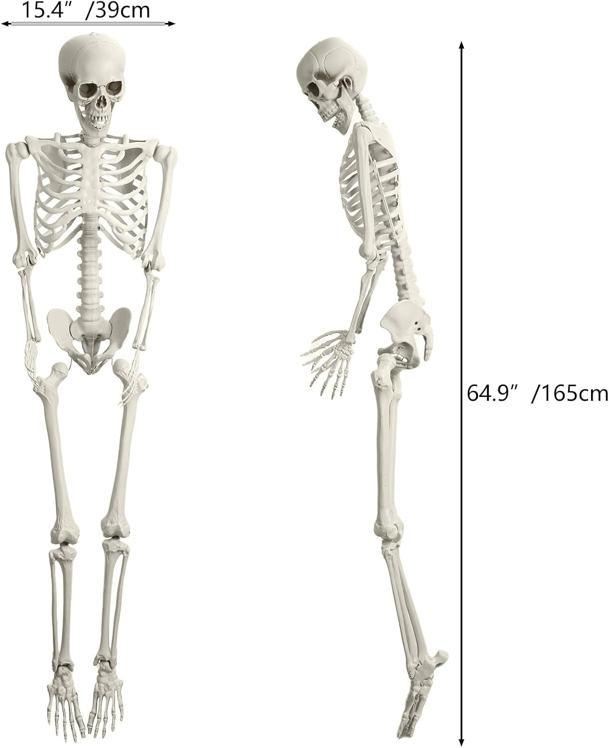 Life Size Skeleton, 5.4Ft/165Cm Halloween Skeleton Poseable Skeleton Full Body Human Bones with Movable Joints for Indoor Outdoor Halloween Props Decorations 170Cm