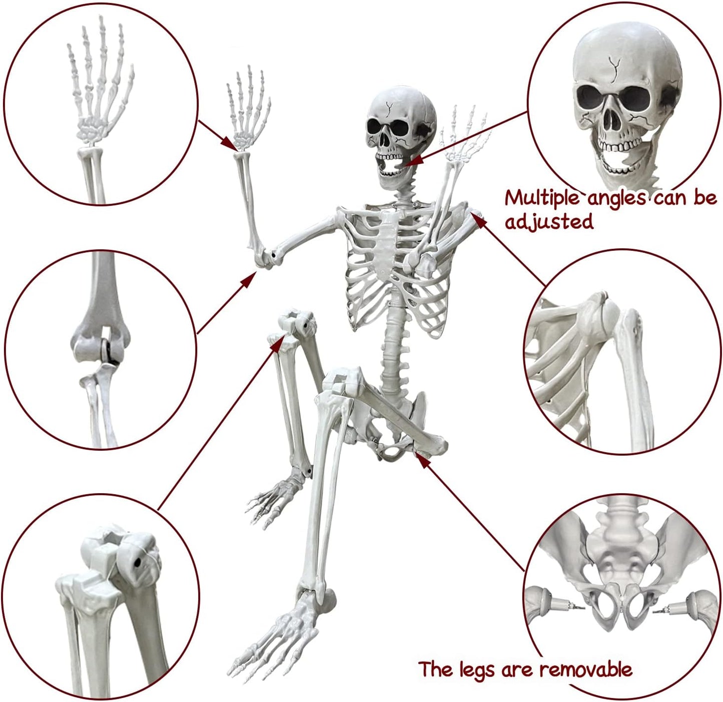 5.4Ft Halloween Life Size Human Skeleton with Movable Joints for Halloween Props Decorations