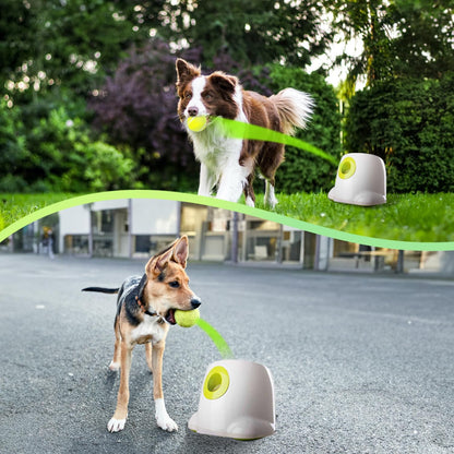 Automatic Ball Thrower for Dogs, Interactive Dog Ball Launcher Machine, Rechargeable Fetch Toy with 6 Tennis Balls Included, Adjustable Launch Distance, Ideal for Medium and Large Dogs