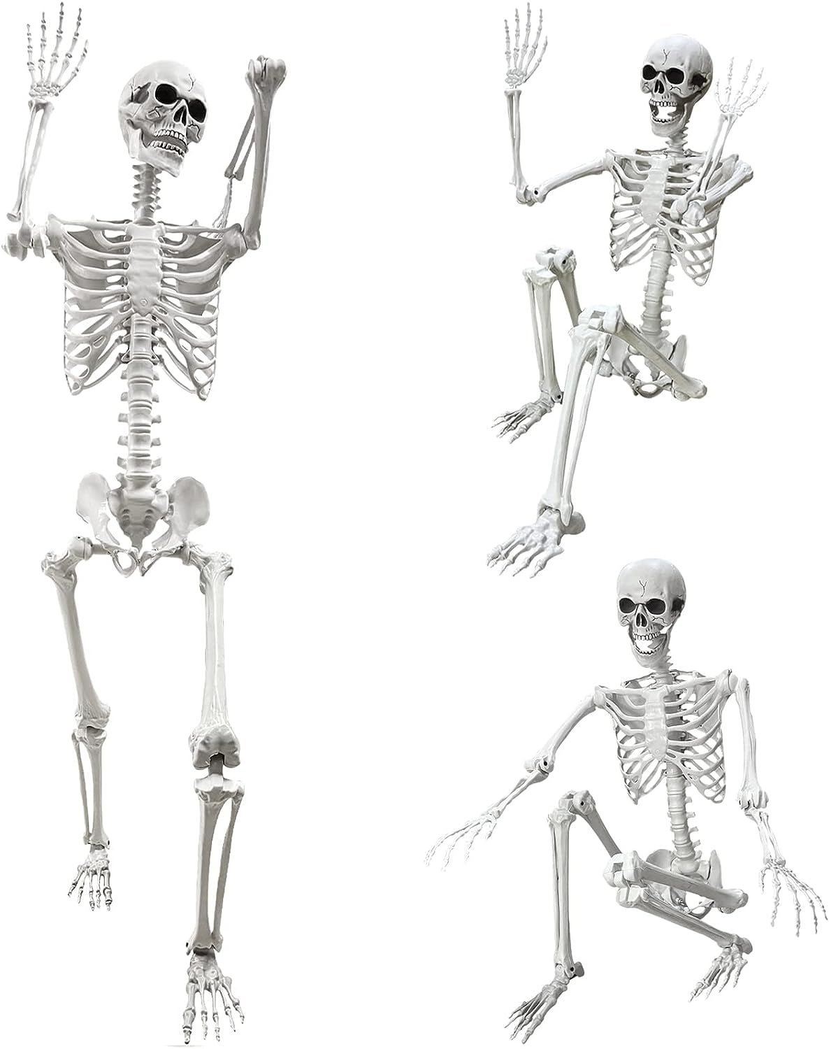 5.4Ft Halloween Life Size Human Skeleton with Movable Joints for Halloween Props Decorations