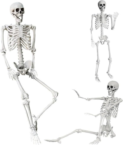 5.4Ft/165Cm Halloween Skeleton Full Body Life Size Human Bones with Movable Joints for Indoor Outdoor Halloween Props Decorations