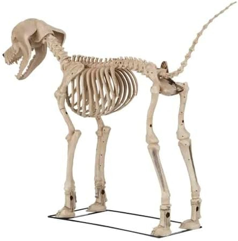 Home Accents 7 Ft. Skelly'S Dog