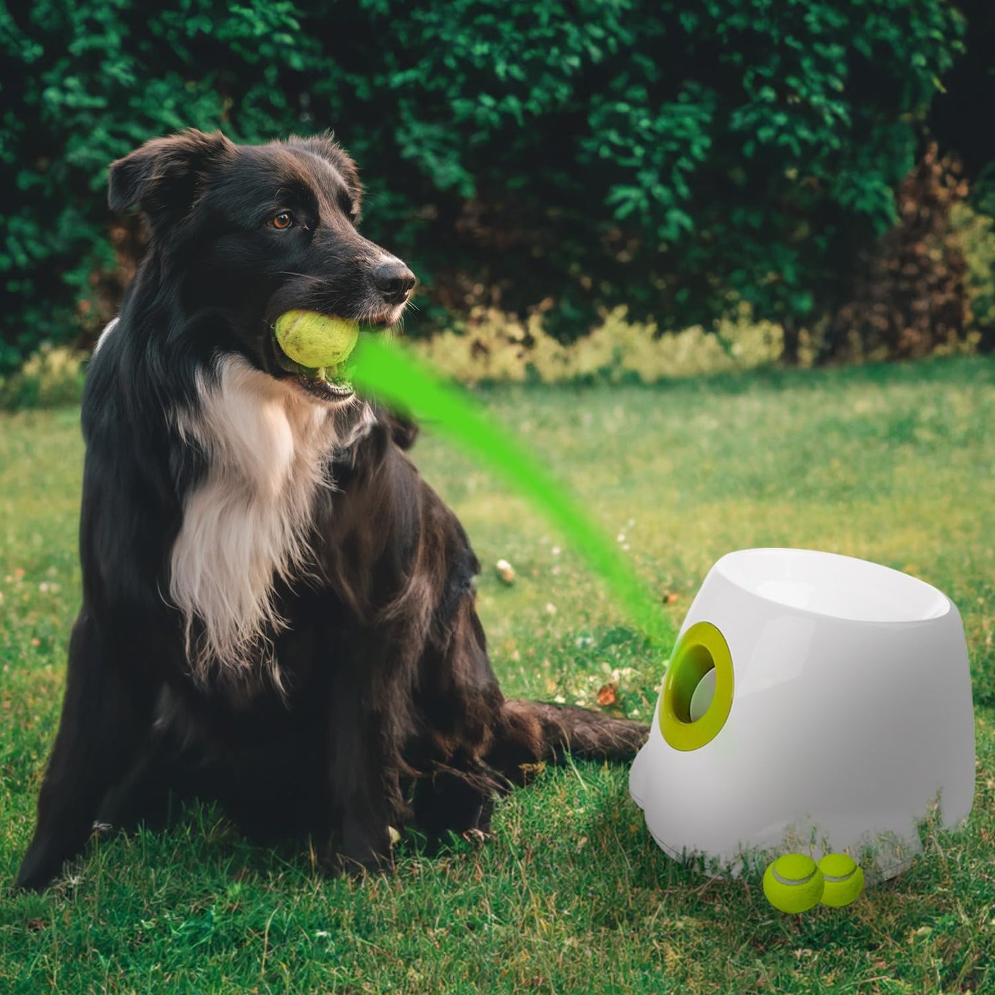 Automatic Ball Thrower for Dogs, Interactive Dog Ball Launcher Machine, Rechargeable Fetch Toy with 6 Tennis Balls Included, Adjustable Launch Distance, Ideal for Medium and Large Dogs