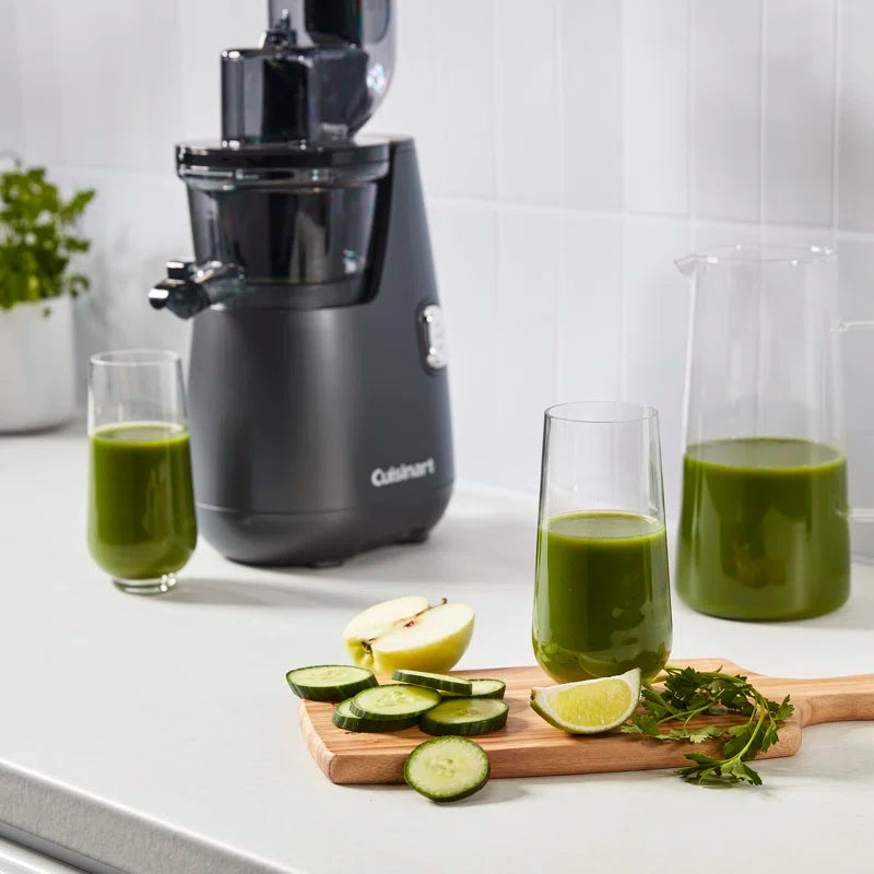 Easy Clean Slow Masticating & Cold Press Juicer