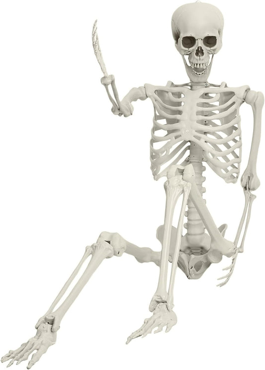 Life Size Skeleton, 5.4Ft/165Cm Halloween Skeleton Poseable Skeleton Full Body Human Bones with Movable Joints for Indoor Outdoor Halloween Props Decorations 170Cm