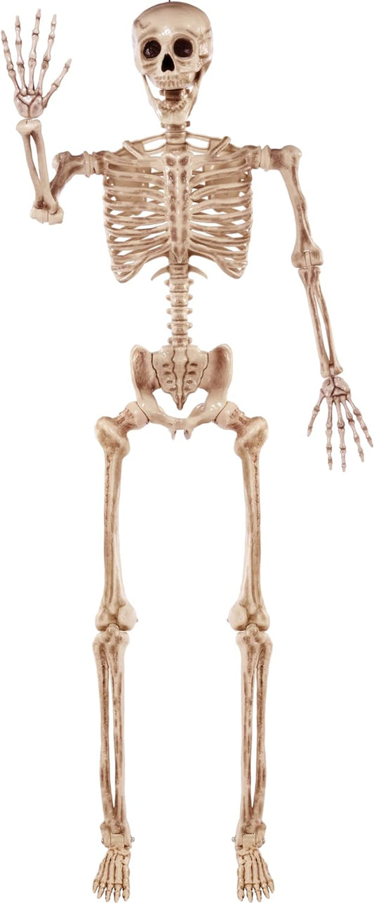 5.6 FT Halloween Posable Life Size Skeleton Full Body Realistic Bones with Movable Joints for Halloween Indoor and Outdoor Decoration