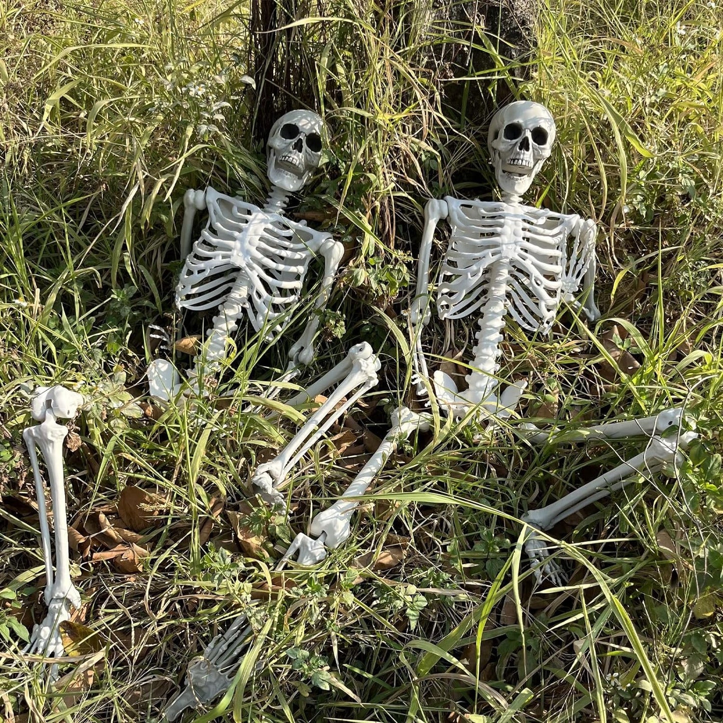 5.4Ft/165Cm Halloween Skeleton Full Body Life Size Human Bones with Movable Joints for Indoor Outdoor Halloween Props Decorations