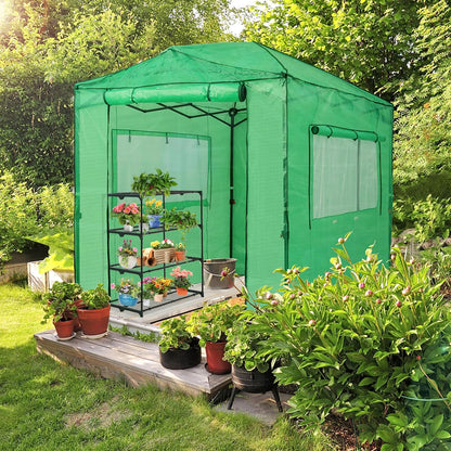 8X6 Portable Walk-In Greenhouse, Pop-Up Indoor Outdoor Garden Green House, Zippered Doors and Windows, PE Cover, Green - Design By Technique
