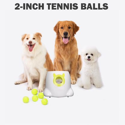 Automatic Ball Launcher, Adjustable Launch Distance, Including 6 Pack Small Sized Balls, Suitable for Small to Medium Sized Dogs (White)