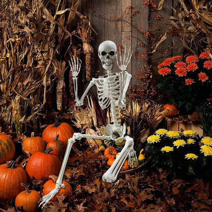 5.4Ft Posable Life Size Human Adult Skeletons Plastic Human Bones with Movable Joints for Halloween Decoration