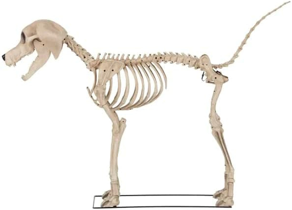 Home Accents 7 Ft. Skelly'S Dog