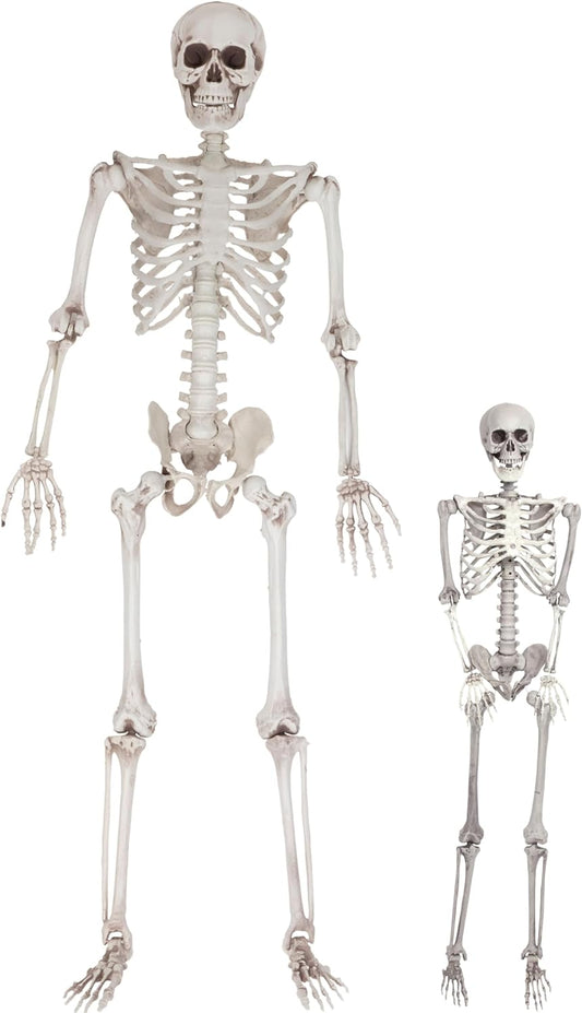 Life Size Skeleton Halloween Decoration Value 2 Pack -Adult (5' 4") & Child (2') Weather Resistant for Indoor/Outdoor - Upgrade Your Fall Graveyard Haunted House Party Props, School Classroom Decor