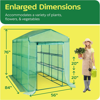 Walk in Greenhouse, Steel-Frame Greenhouse, Anti-Tear Cover, Greenhouse Shelves, 84X76X56 Inch Large Greenhouse, Outdoor Greenhouse, Greenhouse Kit for Plant Protection, Better Growth - Design By Technique