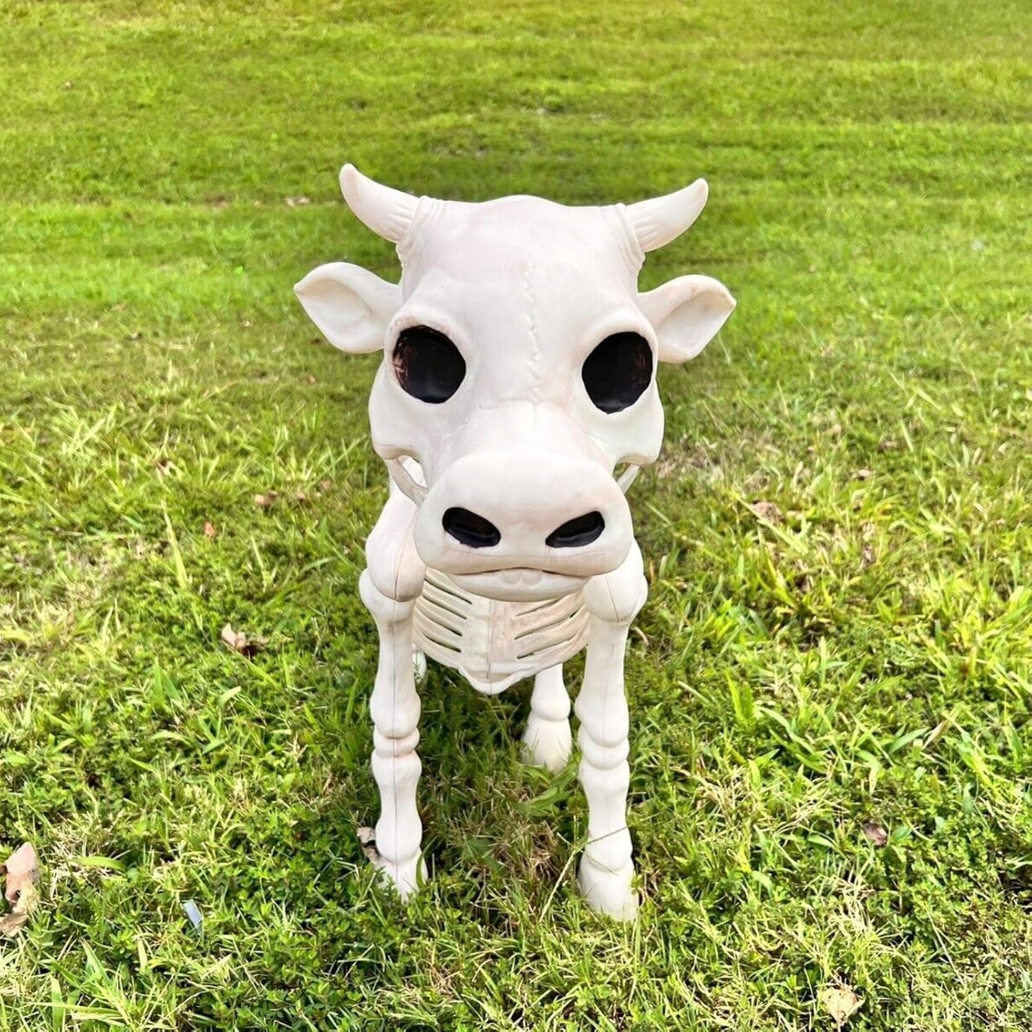 Cow Skeleton Halloween Decoration, 2023 New Cow Skull Prop Halloween Decoration, Cow Skeleton Decorative Prop