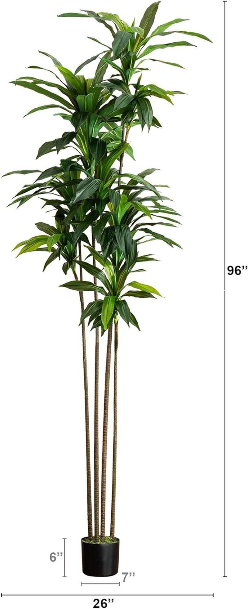 8Ft. Artificial Dracaena Tree with Real Touch Leaves