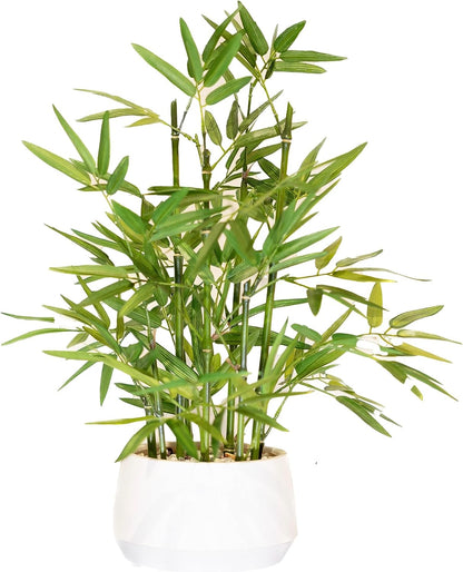 18 Inch Tall White Potted Faux Bamboo Plant- Luxury Artificial Bamboo Tree in White Pot for Home, Office, Kitchen, Counter Top, Indoor Decor, Money Tree, Lucky Bamboo Tree.