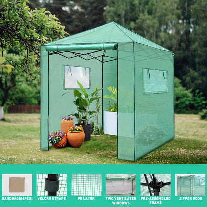 6'X 5' Portable Walk-In Greenhouse Easy Setup,Indoor Outdoor Greenhouse Garden Green Houses Instant Pop-Up Greenhouse,2 Roll-Up Mesh Windows and Roll-Up Zipper Door,Green (A-GE06015)