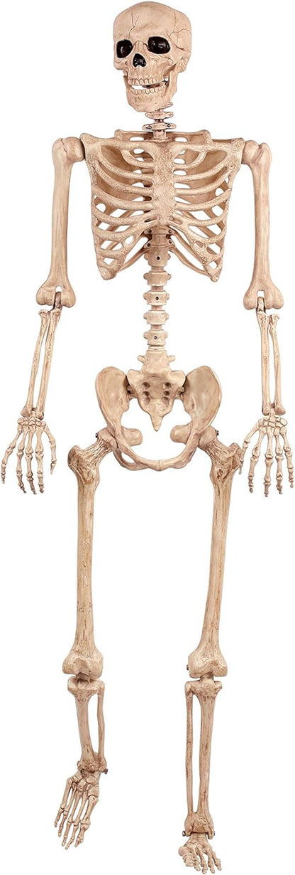 Pose-N-Stay Skeleton