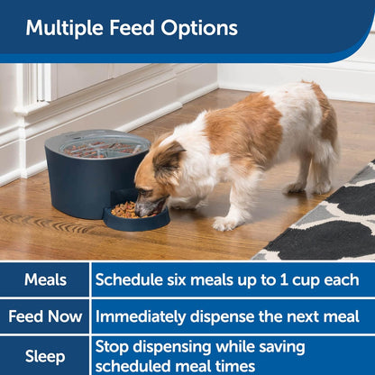 6 Meal Automatic Cat Feeder - Programmable Pet Food Dispenser for Cats and Small Dogs - Dry Kibble or Semi-Moist Pet Food, Slow Feed Portion Control, Tamper-Resistant