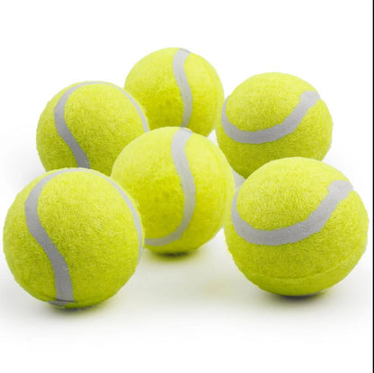 Automatic Ball Launcher Replacement Balls for Small to Medium Sized Dogs, 6Pcs (2-Inch Mini Pet Throwing Tennis Balls)