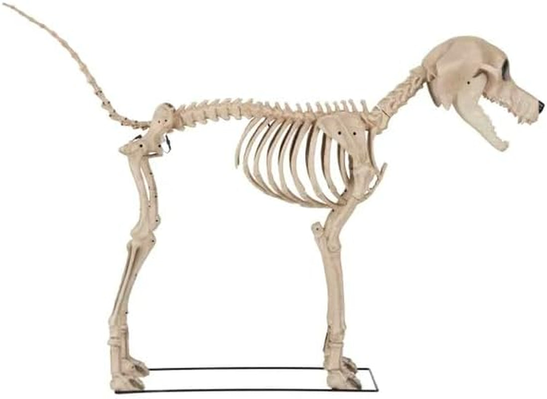 Home Accents 7 Ft. Skelly'S Dog