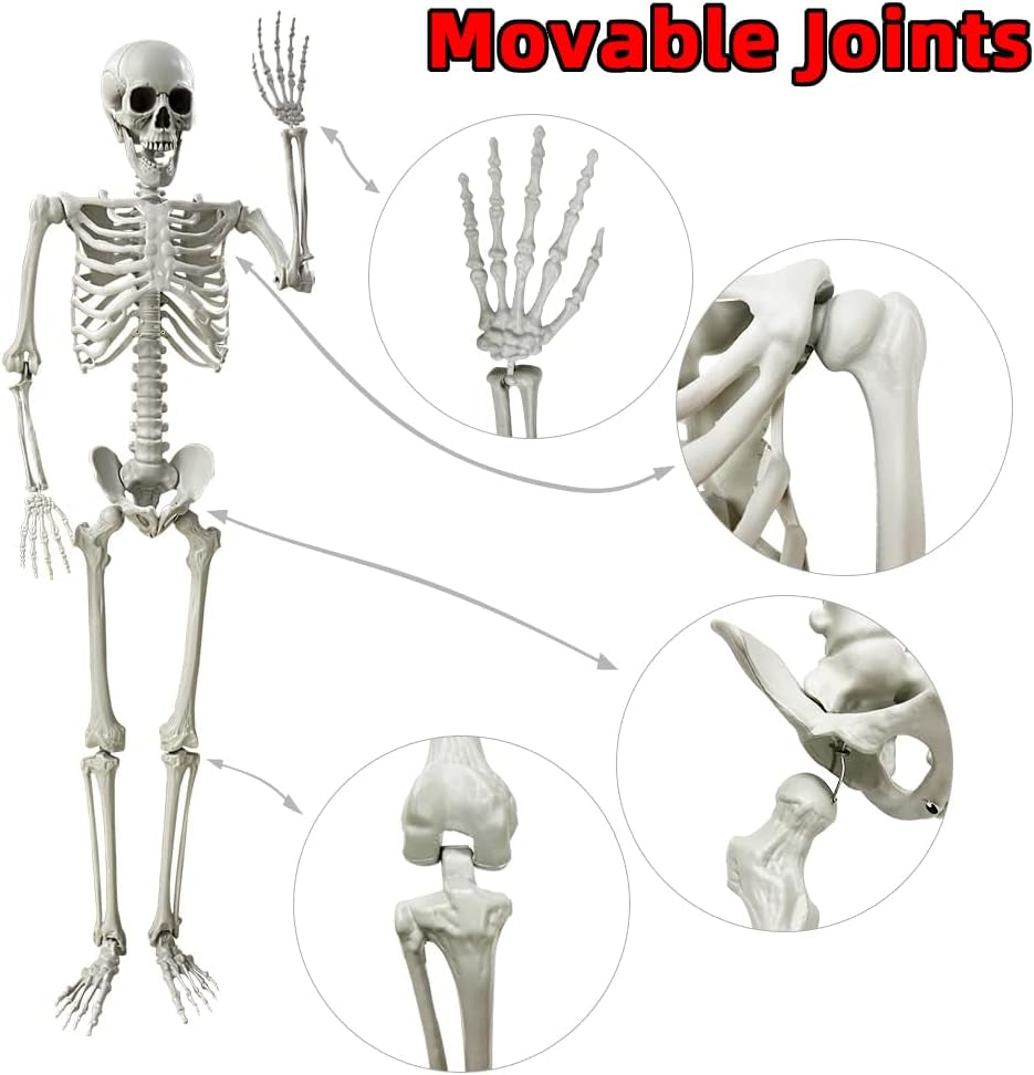 5.4Ft/165Cm Halloween Skeleton Full Body Life Size Human Bones with Movable Joints for Indoor Outdoor Halloween Props Decorations