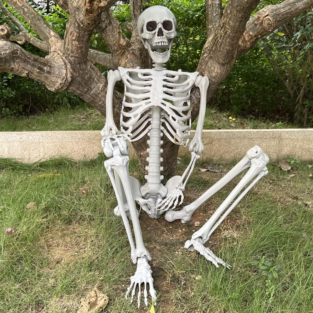 5.4Ft/165Cm Halloween Skeleton Full Body Life Size Human Bones with Movable Joints for Indoor Outdoor Halloween Props Decorations