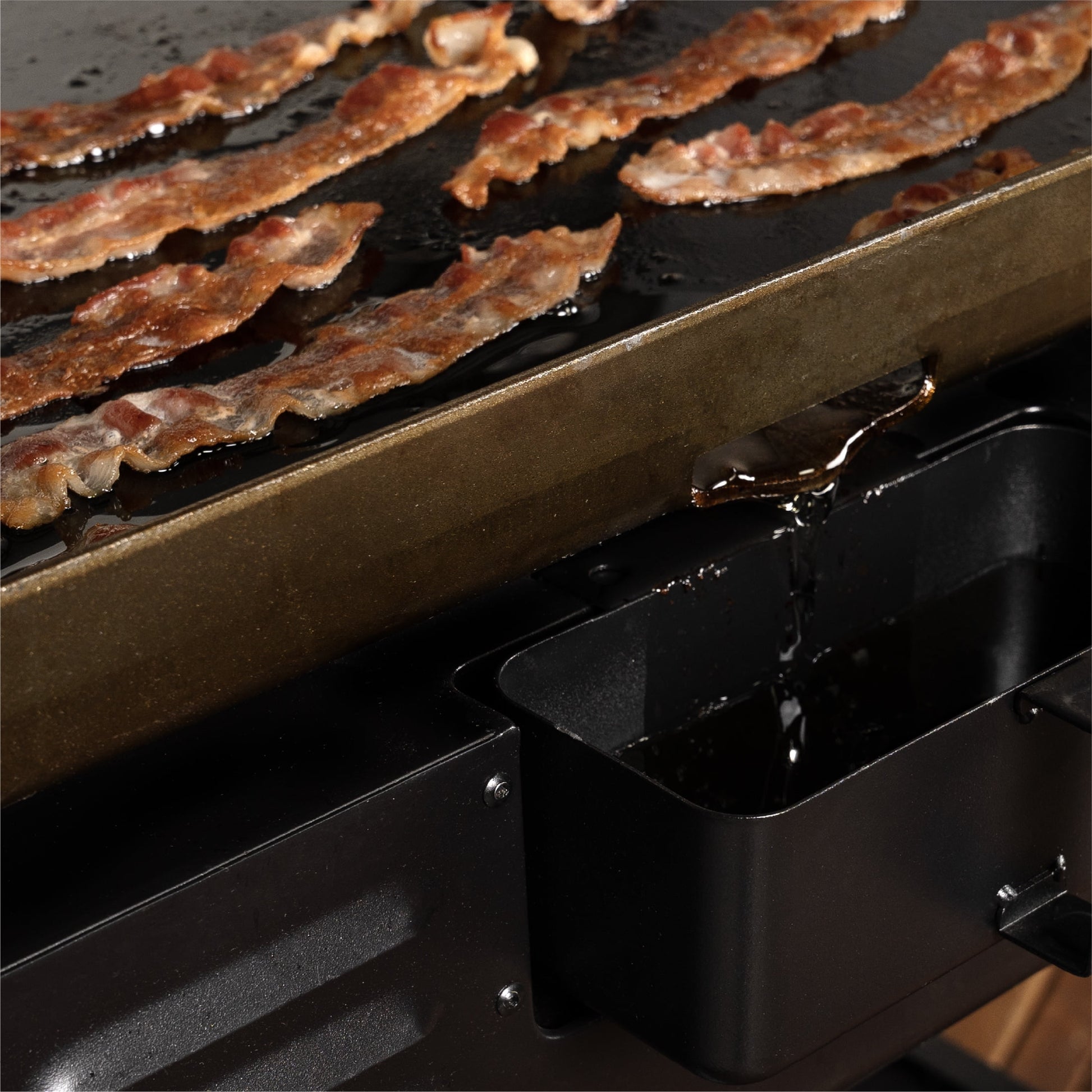 2-Burner 28” Propane Griddle with Hood and Omnivore Griddle Plate