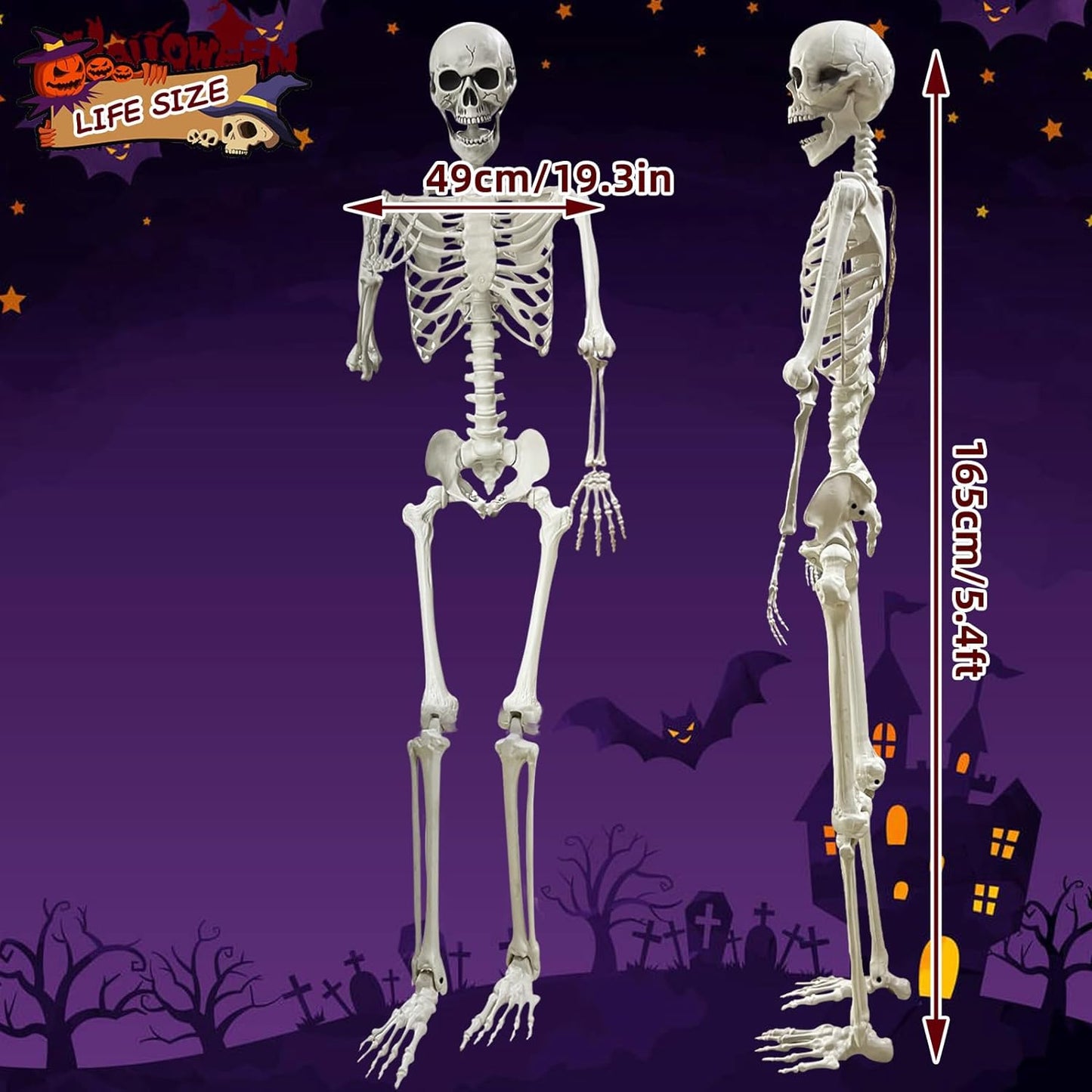 5.4Ft Posable Life Size Human Adult Skeletons Plastic Human Bones with Movable Joints for Halloween Decoration