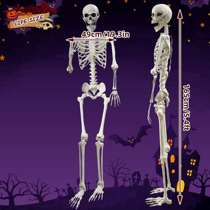 5.4Ft Posable Life Size Human Adult Skeletons Plastic Human Bones with Movable Joints for Halloween Decoration