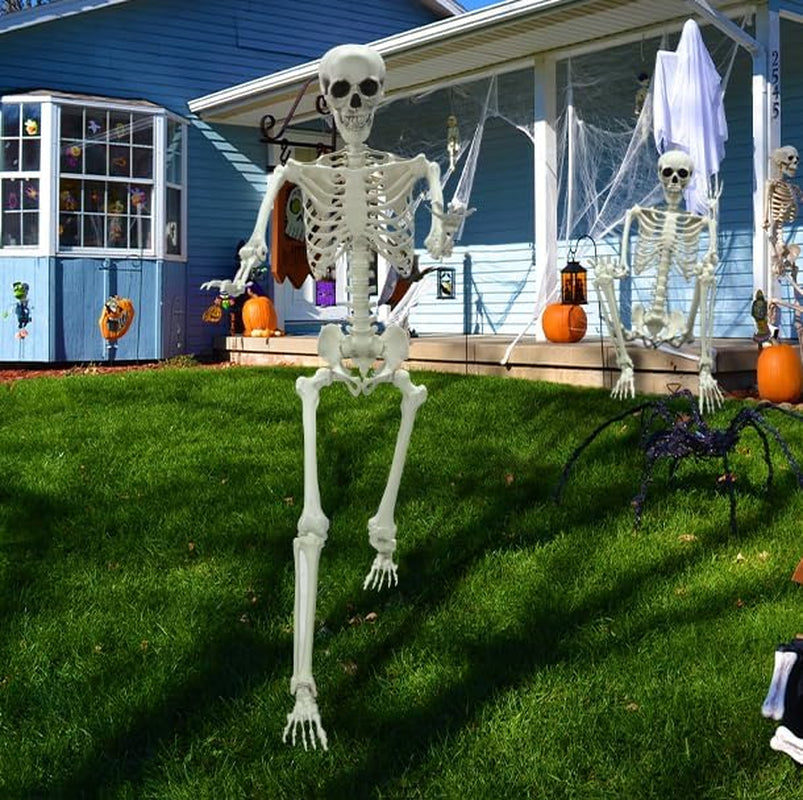 5.4Ft/165Cm Halloween Skeleton, Halloween Life Size Full Body Skeleton with Movable Joints for Halloween Indoor Outdoor Haunted House Decorations