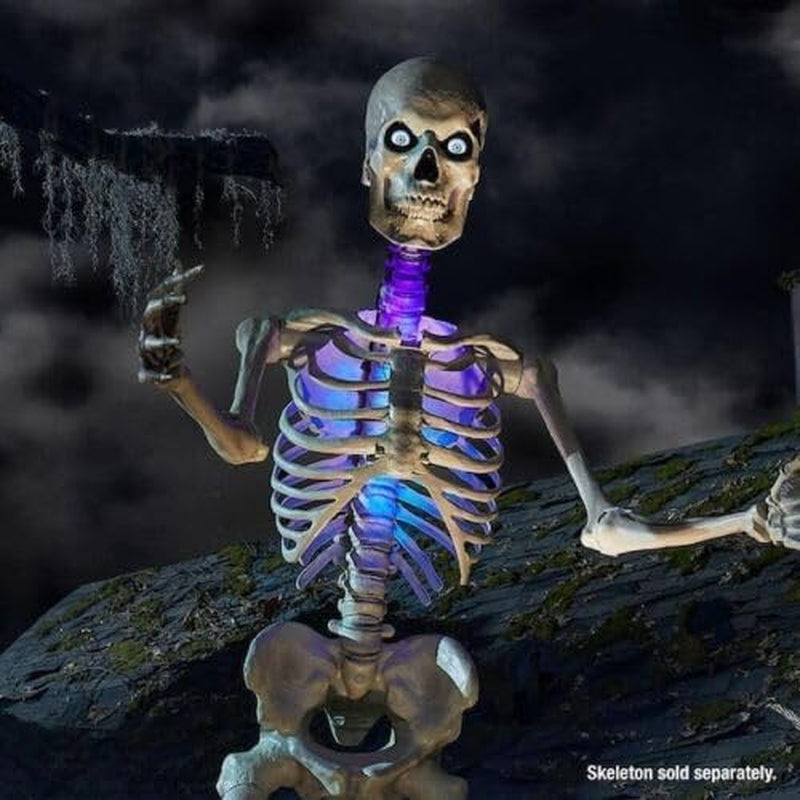 Home Depot 12 Ft. Skeleton Lighting Kit