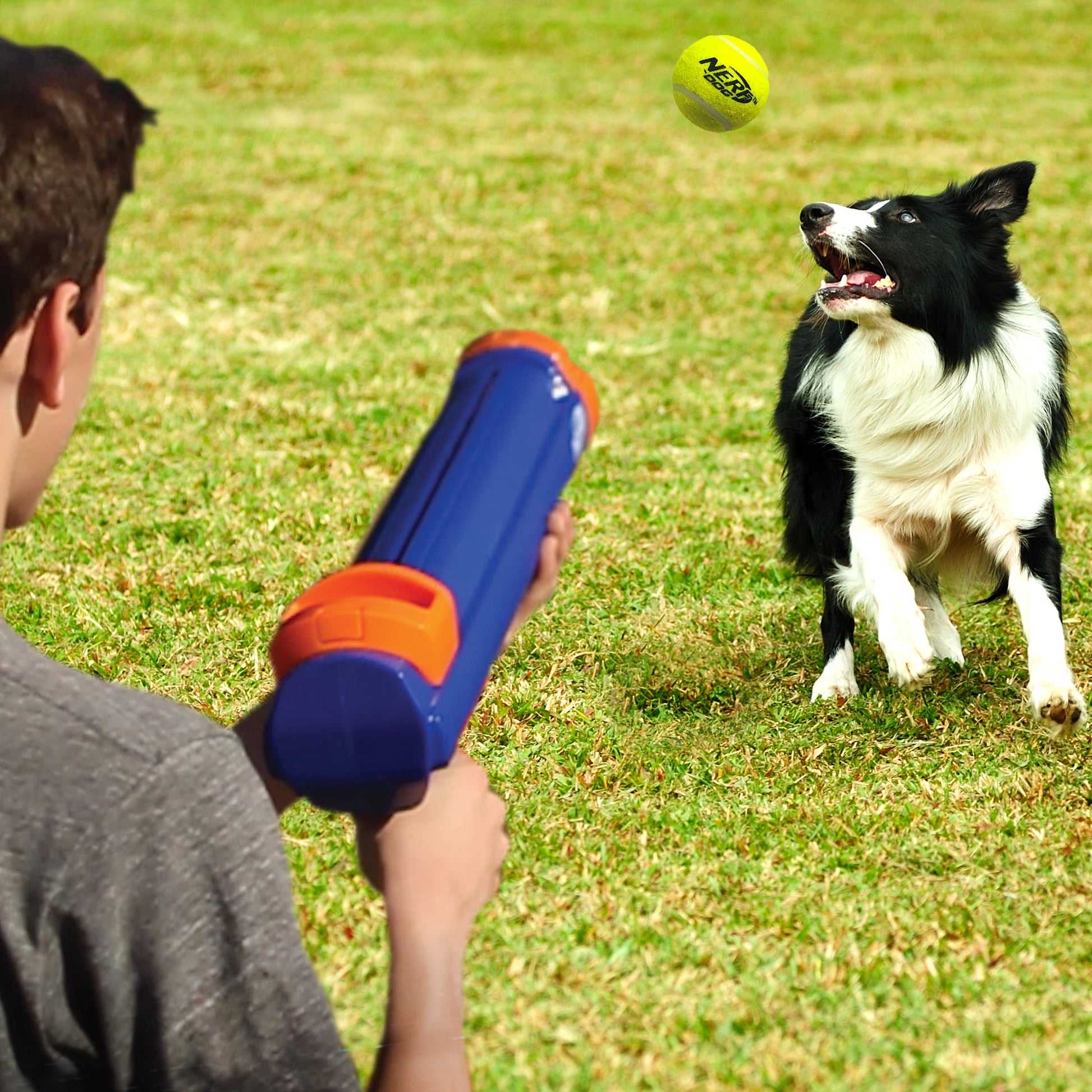 16” Tennis Ball Blaster Dog Toy with 4 Balls