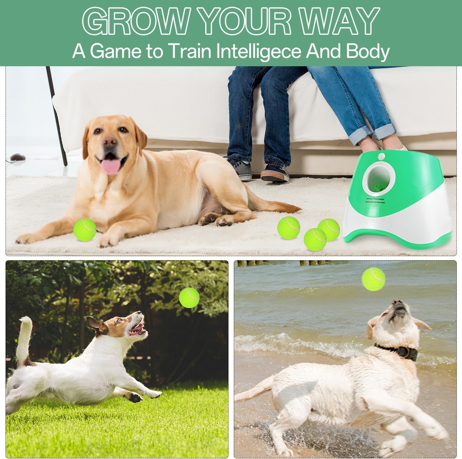 Automatic Dog Ball Launcher, with 12 Tennis Ball 3 Adjustable Distances Settings, Rechargeable Ball Laucher for Dogs,Interacive Dog Toys Indoor Outdoor Thrower Machine Perfect for Small Dogs