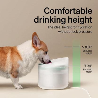Dog Water Fountain, 2.1Gal/270Oz Capsule Dog Fountain for Medium to Large Dogs, Automatic Pet Water Dispenser for Drinking, Anti-Splash, Ultra-Quiet Dog Water Bowl Dispenser Easy to Clean