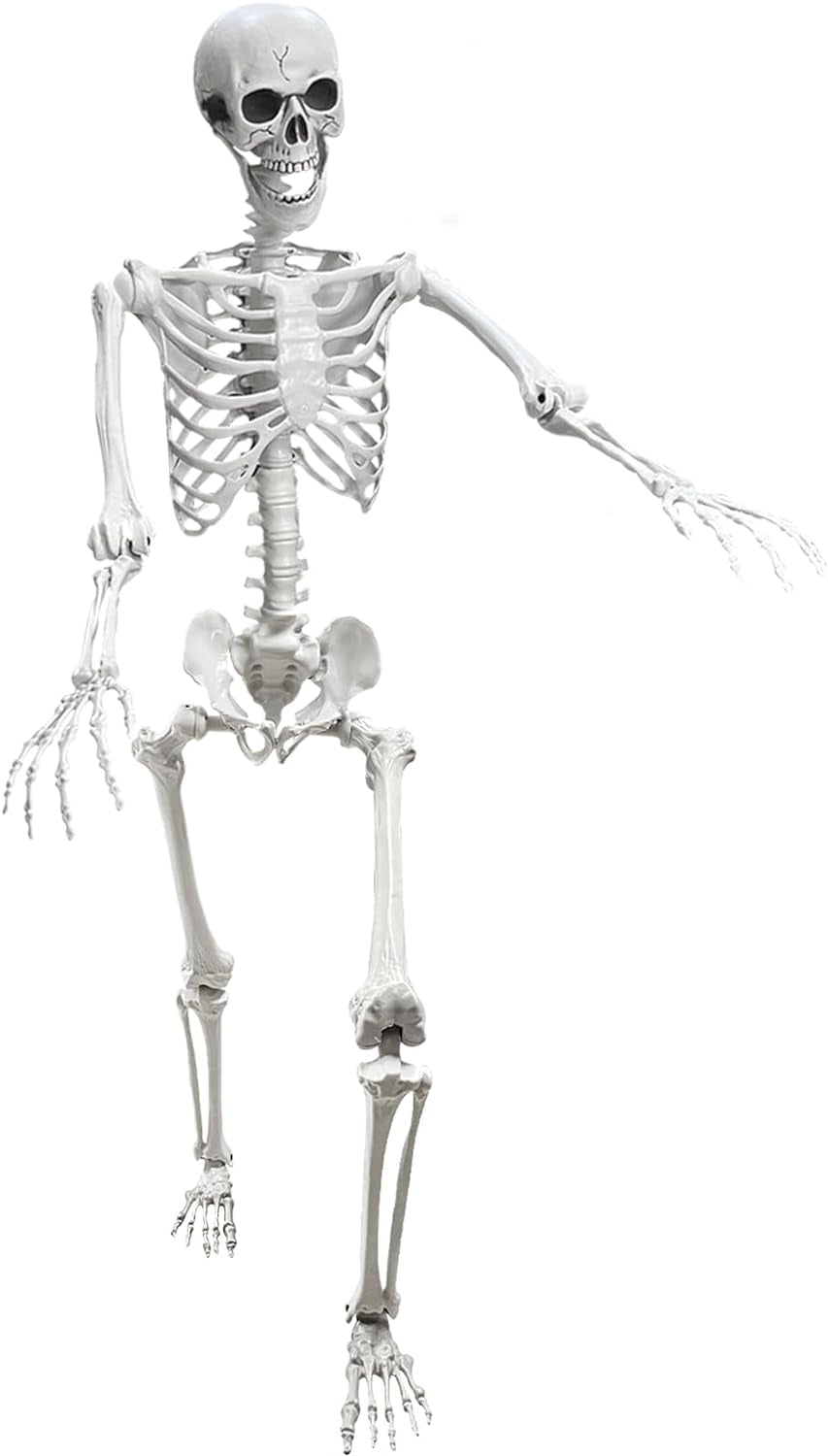 5.4Ft Posable Life Size Human Adult Skeletons Plastic Human Bones with Movable Joints for Halloween Decoration