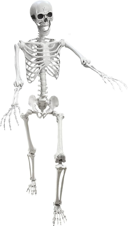 5.4Ft Posable Life Size Human Adult Skeletons Plastic Human Bones with Movable Joints for Halloween Decoration