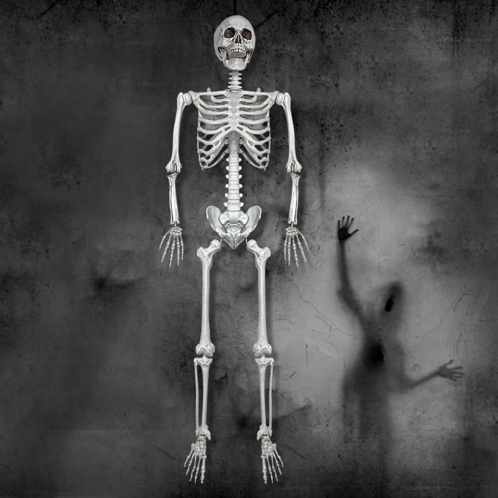 5.4Ft Halloween Life Size Human Skeleton with Movable Joints for Halloween Props Decorations