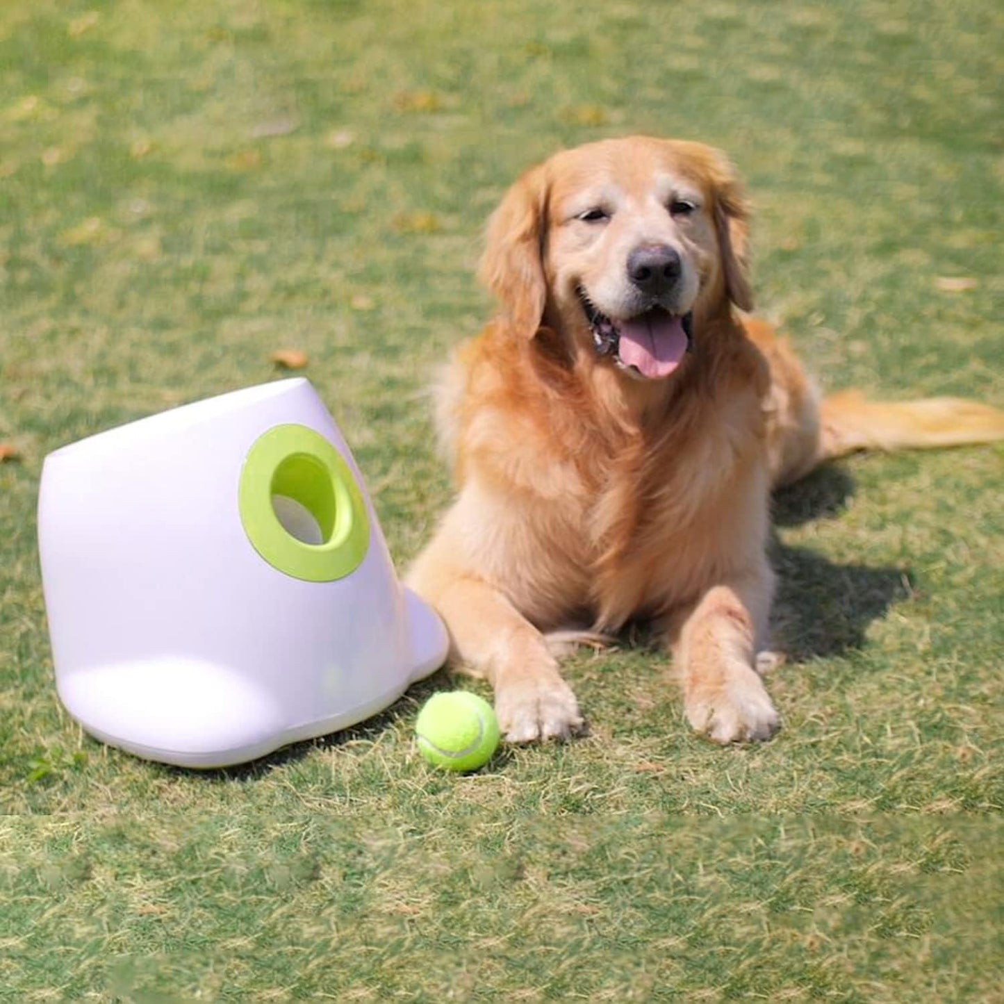 Automatic Ball Thrower for Dogs, Interactive Dog Ball Launcher Machine, Rechargeable Fetch Toy with 6 Tennis Balls Included, Adjustable Launch Distance, Ideal for Medium and Large Dogs