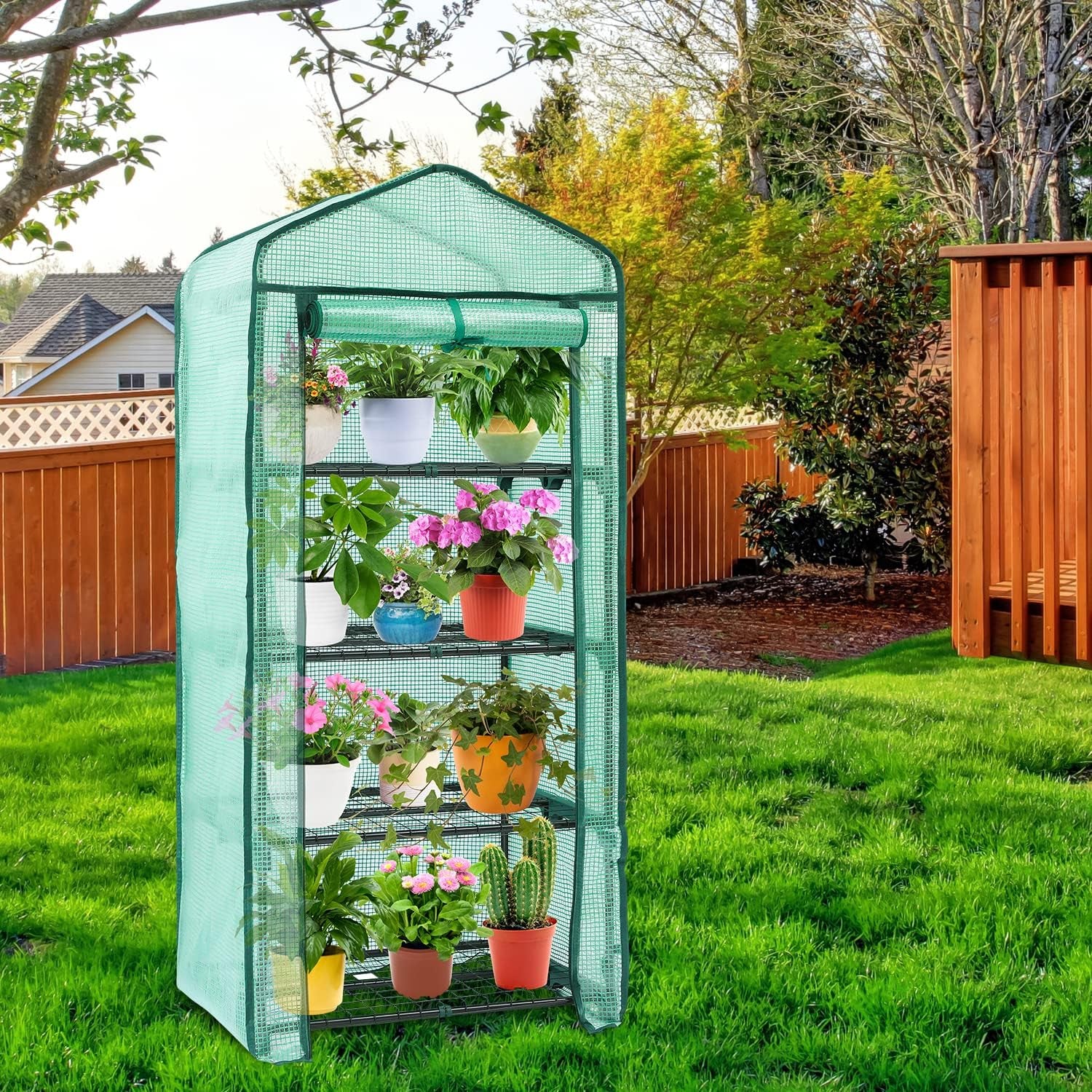 Mini Greenhouse for Indoor Outdoor, Small Plastic Plant Green House 4-Tier Rack Stand Portable Greenhouses with Durable PE Cover for Seedling, 2.5X1.6X5.2 FT, Ideal Gardening Gifts for Women Men - Design By Technique