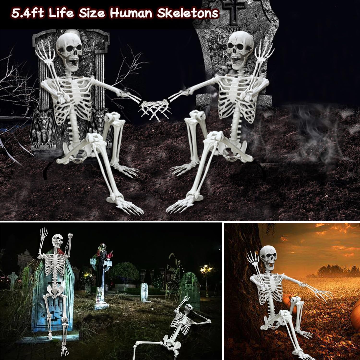 5.4Ft Posable Life Size Human Adult Skeletons Plastic Human Bones with Movable Joints for Halloween Decoration