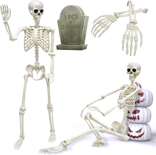 5.4Ft/165Cm Halloween Skeleton, Life Size Posable Halloween Skeleton with Arm Stake, Full Body Realistic Human Bones with Movable Joints for Halloween Indoor Outdoor Haunted House Decoration