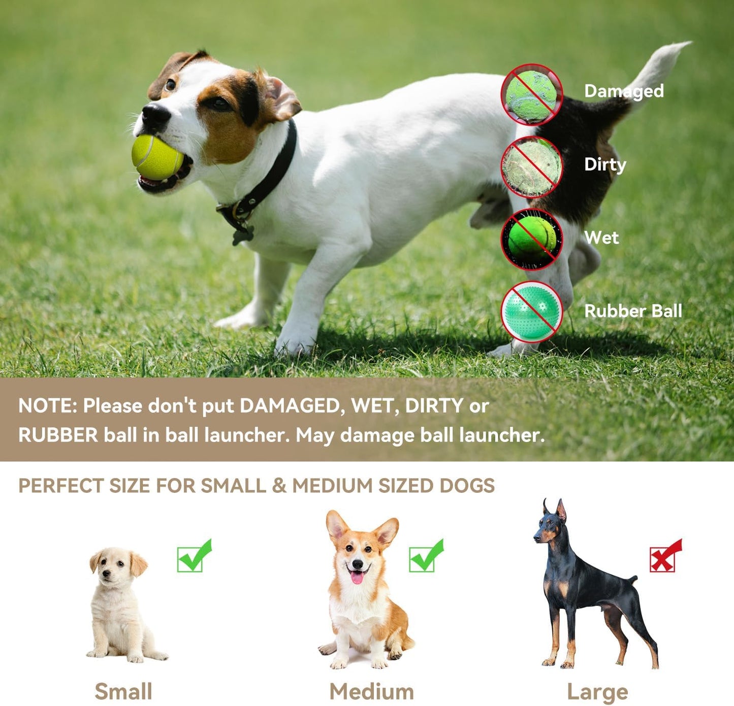 Automatic Dog Ball Thrower Launcher with 12 PCS Tennis Balls,Thrower Distance 10-30Ft, Interactive Dog Fetch Machine Toy for Small Dogs (Blue Dog Ball Launcher)