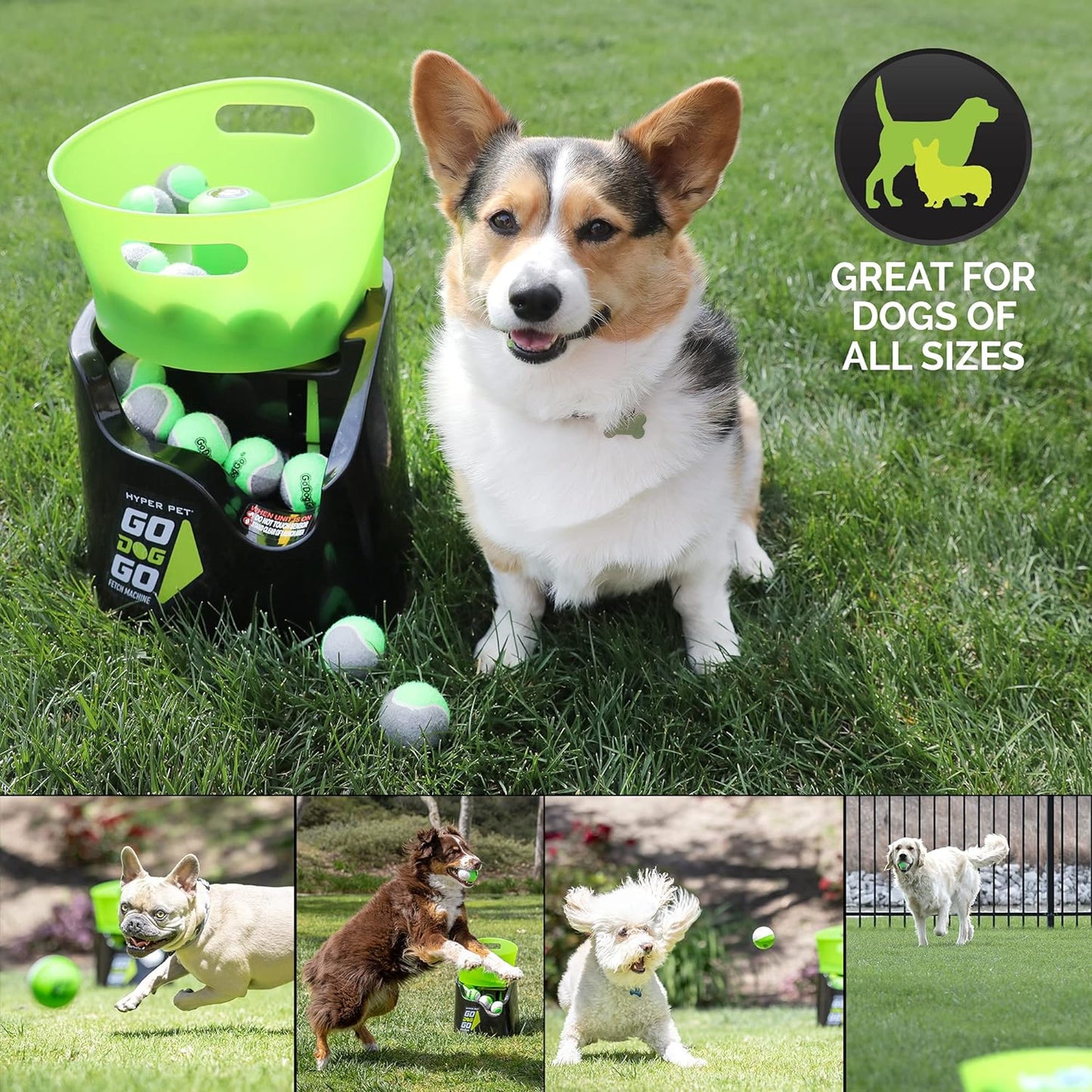 Godoggo Fetch Automatic Machine Dog Ball Launcher for Dogs with Five 2.5" Balls for Breeds 20-60 Pounds