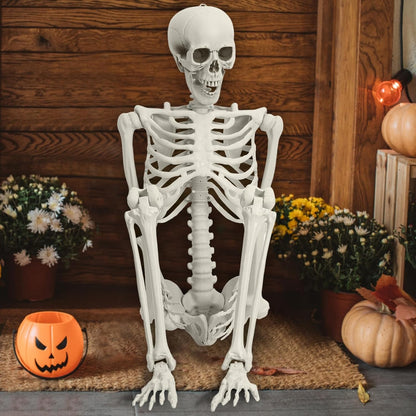 Life Size Skeleton, 5.4Ft/165Cm Halloween Skeleton Poseable Skeleton Full Body Human Bones with Movable Joints for Indoor Outdoor Halloween Props Decorations 170Cm