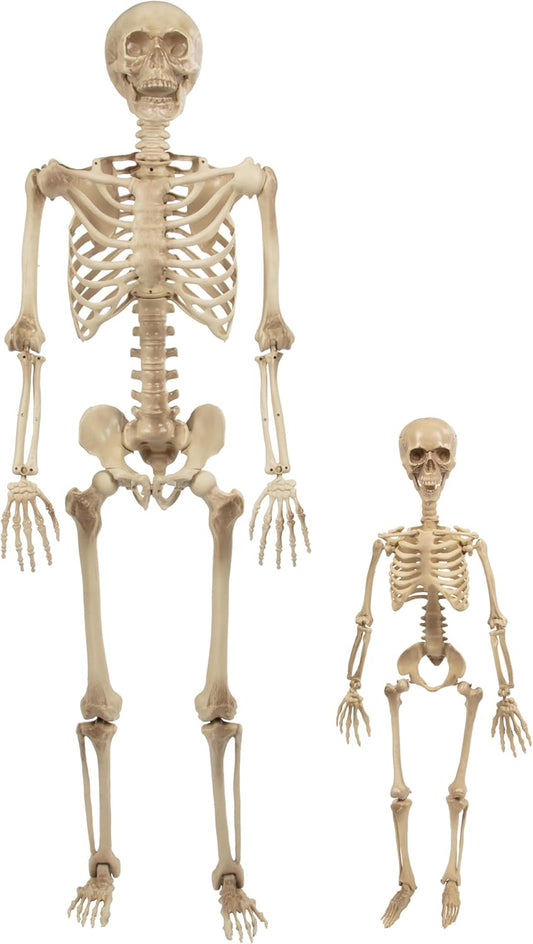 Posable Life Size Human Skeleton Family Set of 2- Adult (5' 4") & Children (2')- Halloween Prop Indoor Outdoor Decorations & Bending Articulated Bones