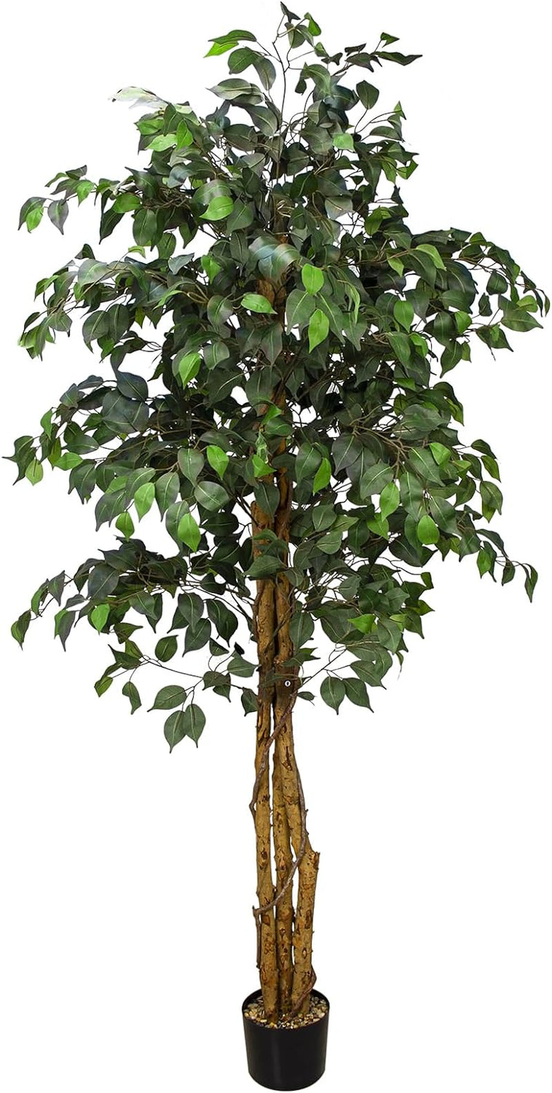 6.2FT Artificial Ficus Silk Tree (75In) with Plastic Nursery Pot, Fake Plant for Living Room Balcony Corner Decor,Indoor-Outdoor Use, 75 Inch