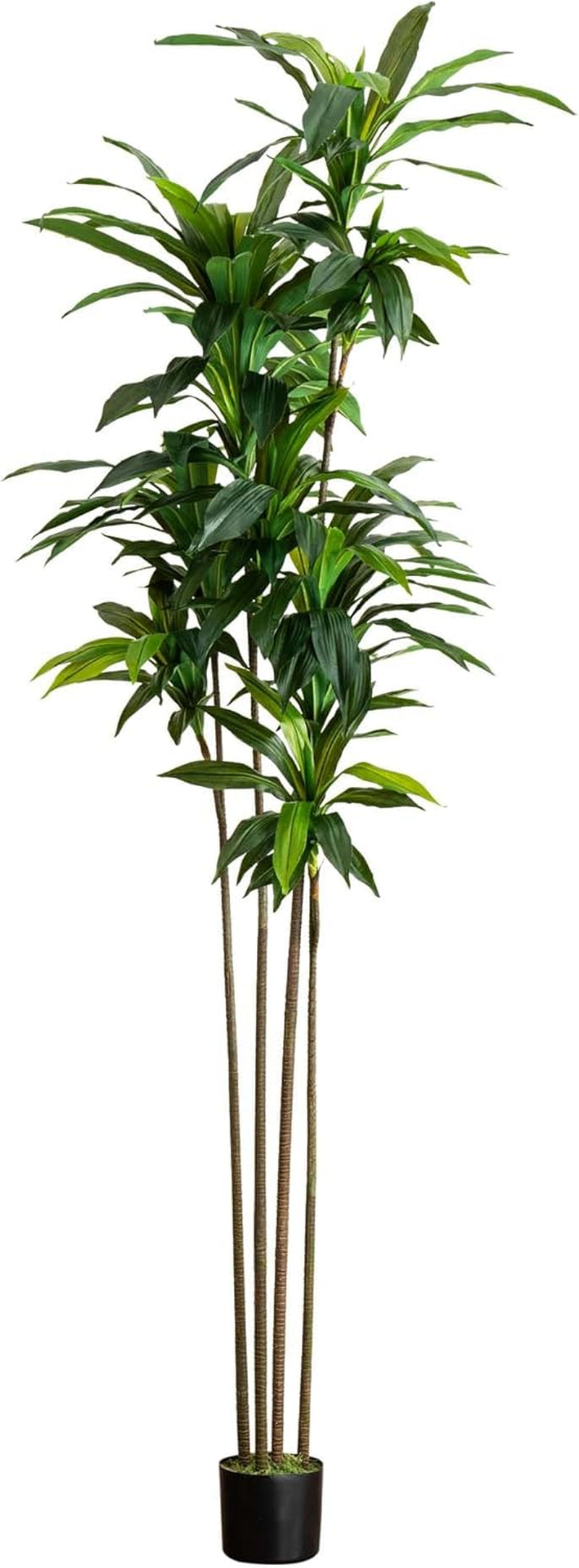 8Ft. Artificial Dracaena Tree with Real Touch Leaves