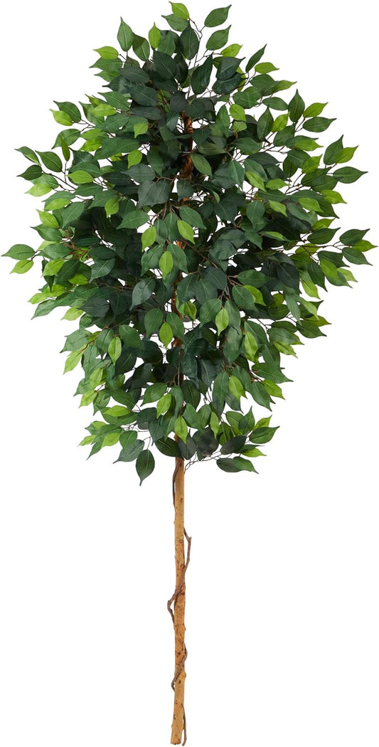 6Ft. Ficus Artificial Tree (No Pot)